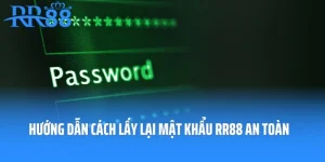 Hướng Dẫn Cách Lấy Lại Mật Khẩu RR88 Nhanh Chóng, An Toàn